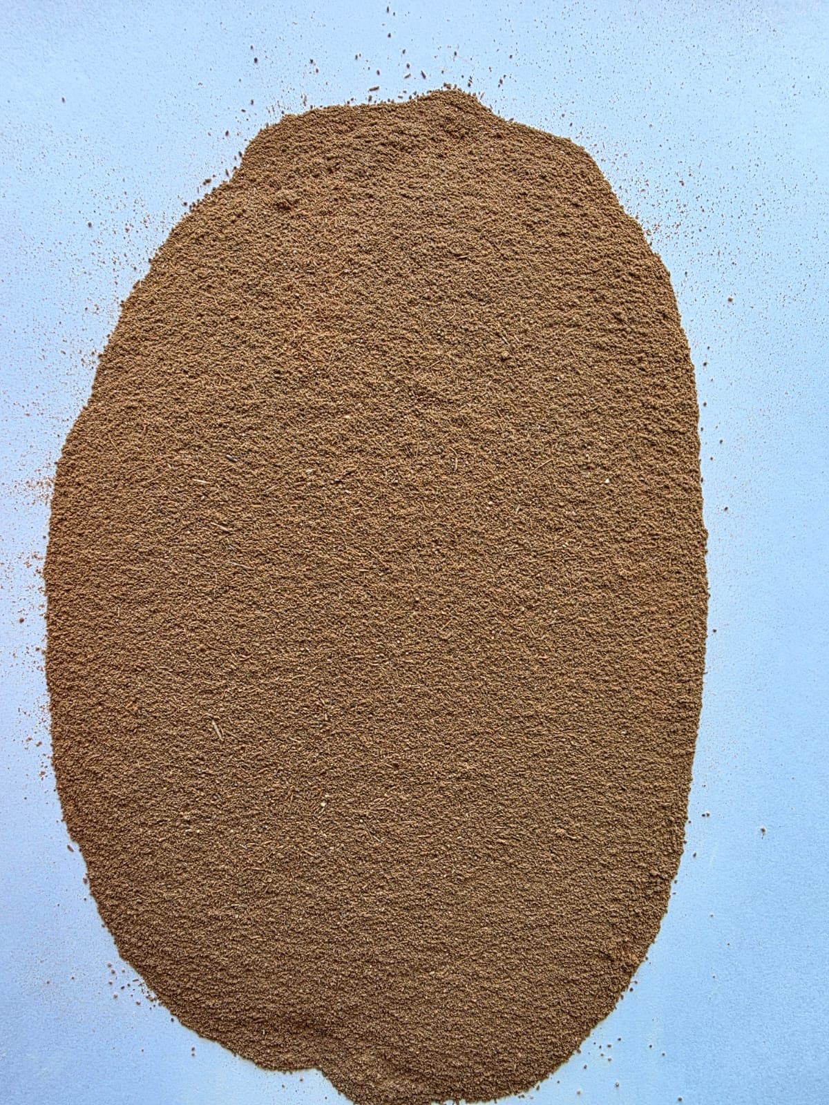 Canela